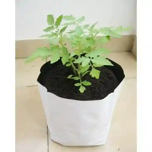 Coco Peat Planter Bags view 3
